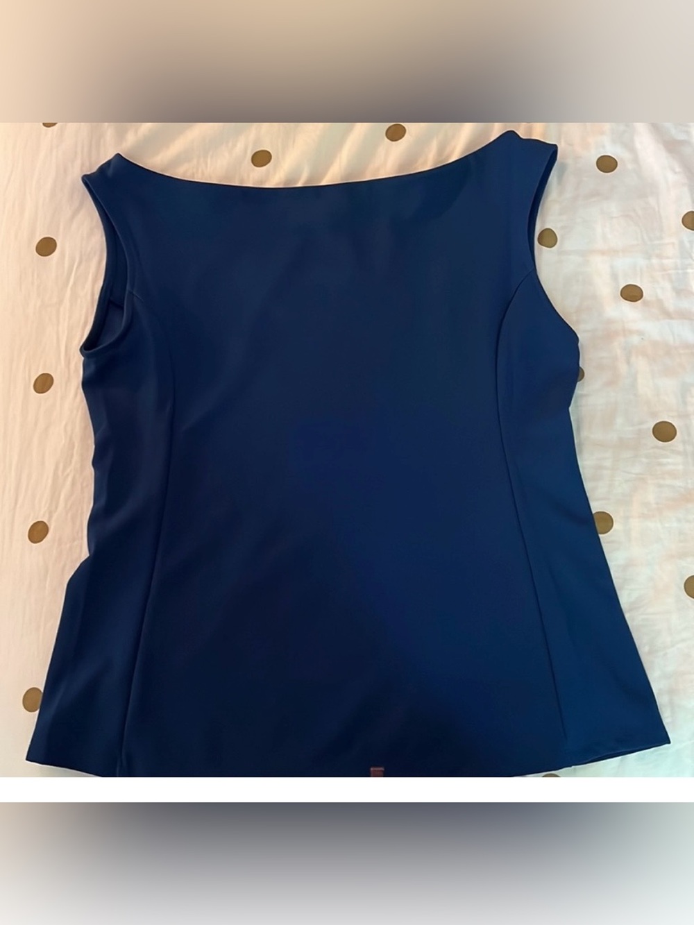 The Limited Royal Blue Boatneck Top. NWT. Size L
